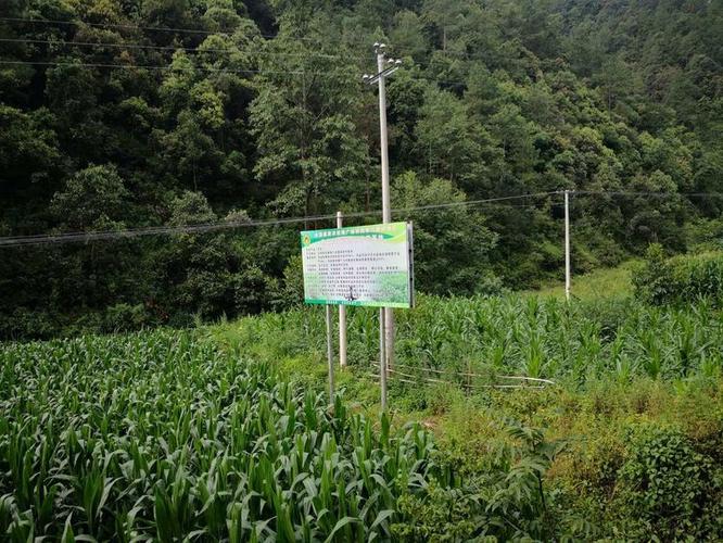 提升潔凈環(huán)境傳遞窗凈化設(shè)備選型與使用指南