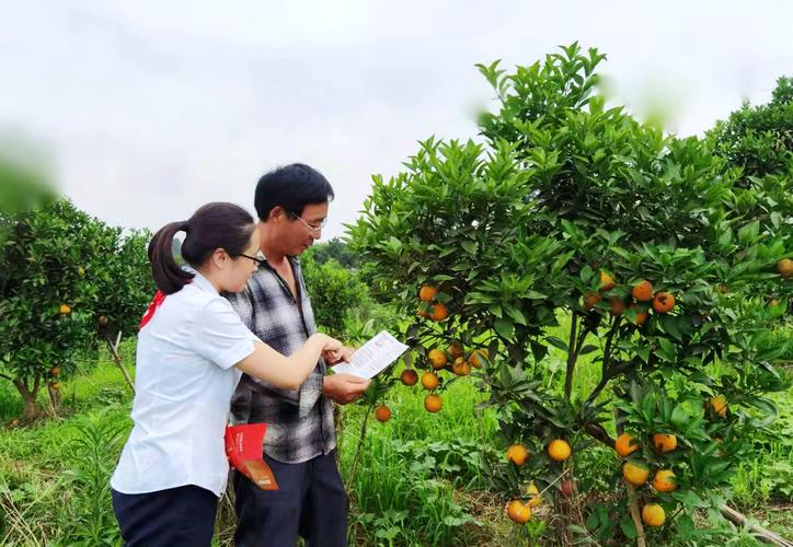 掌握風量調節(jié)閥工作原理與有效保養(yǎng)技巧