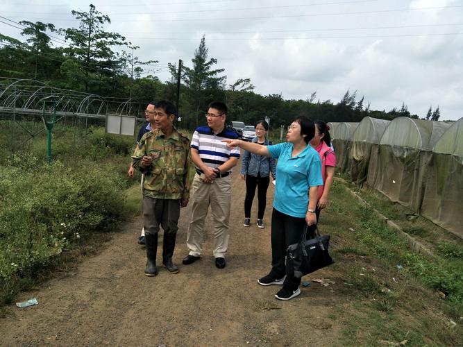 高效過濾器如何有效過濾PM善肺部健康
