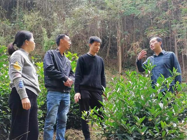 傳遞窗技術(shù)創(chuàng)新提升凈化行業(yè)效率與安全性