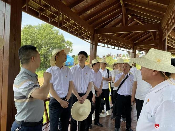 高效過(guò)濾器與傳統(tǒng)過(guò)濾器的成本效益分析