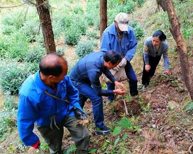 凈化設(shè)備和傳遞窗協(xié)作保護(hù)室內(nèi)空氣健康