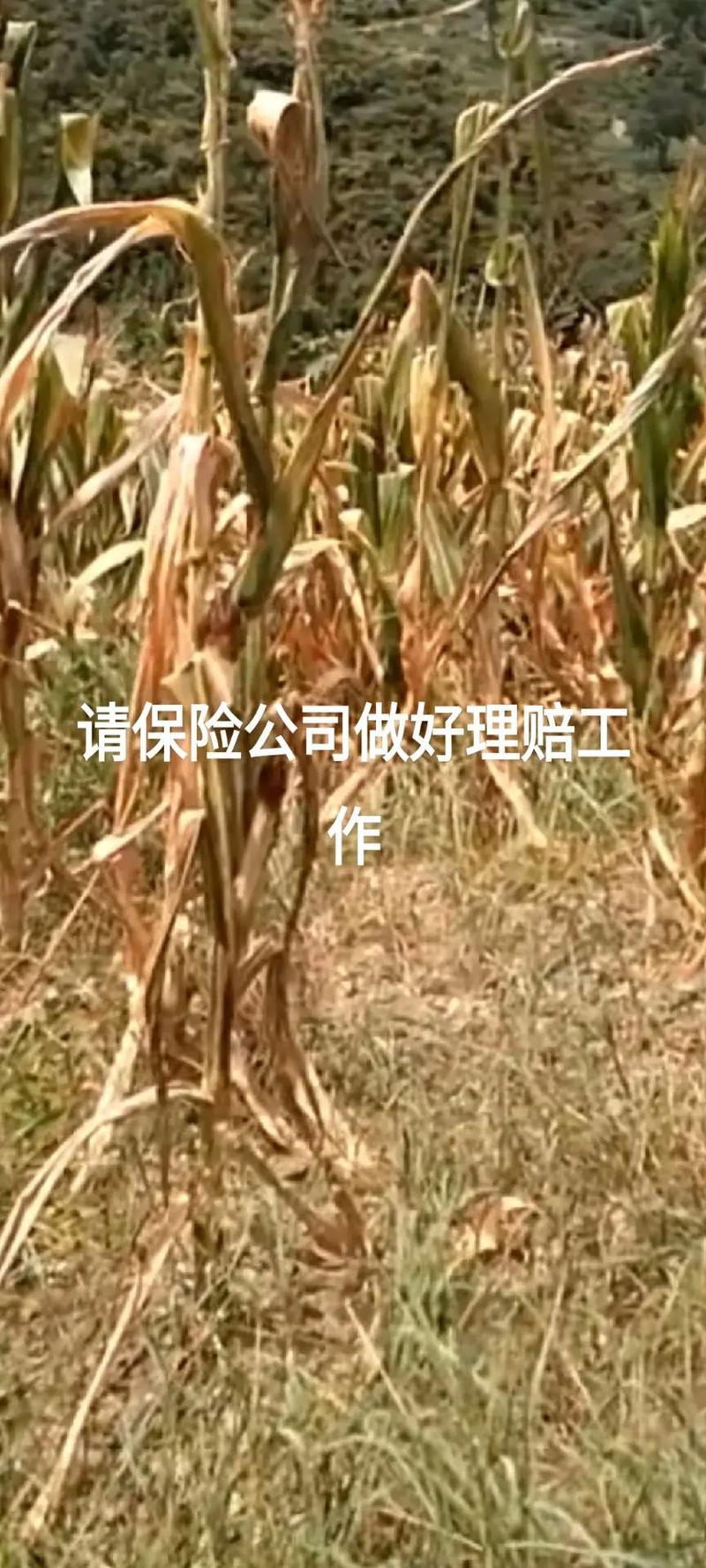傳遞窗在制藥企業(yè)潔凈管理中的作用與挑戰(zhàn)